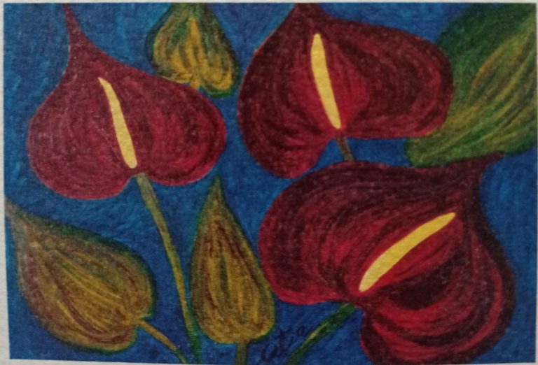 ANTHURIUM_50x70_oliosutela